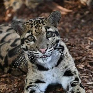 Meet your Posher, Trish marie